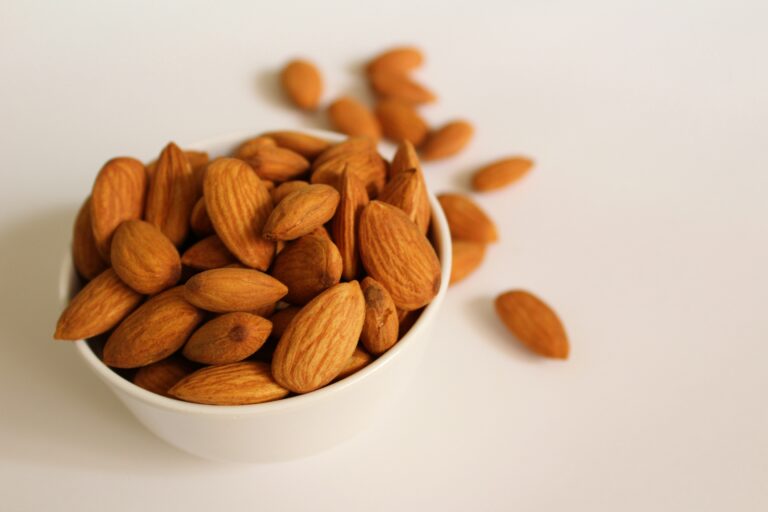 Can My Dog Eat Almonds? A Complete Safety Guide